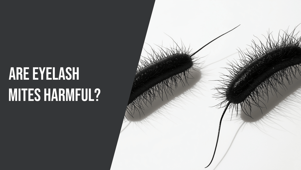 Are Eyelash Mites Harmful?