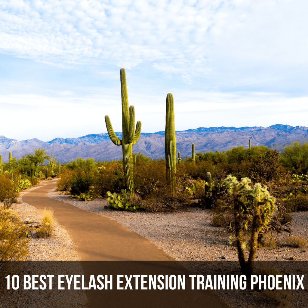 10 Best Eyelash Extension Training Phoenix - The Lash Professional