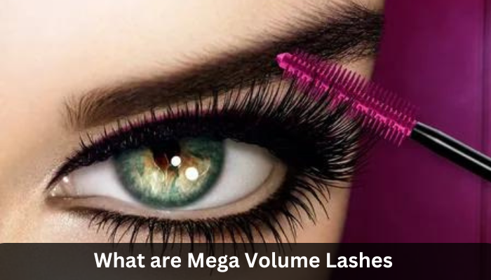 What are Mega Volume Lashes?