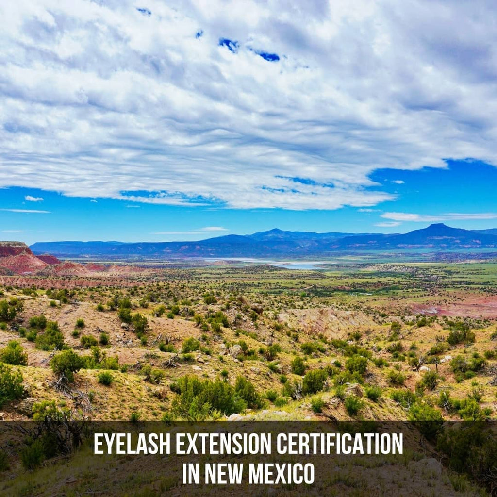 Eyelash Extension Certification In New Mexico The Lash Professional