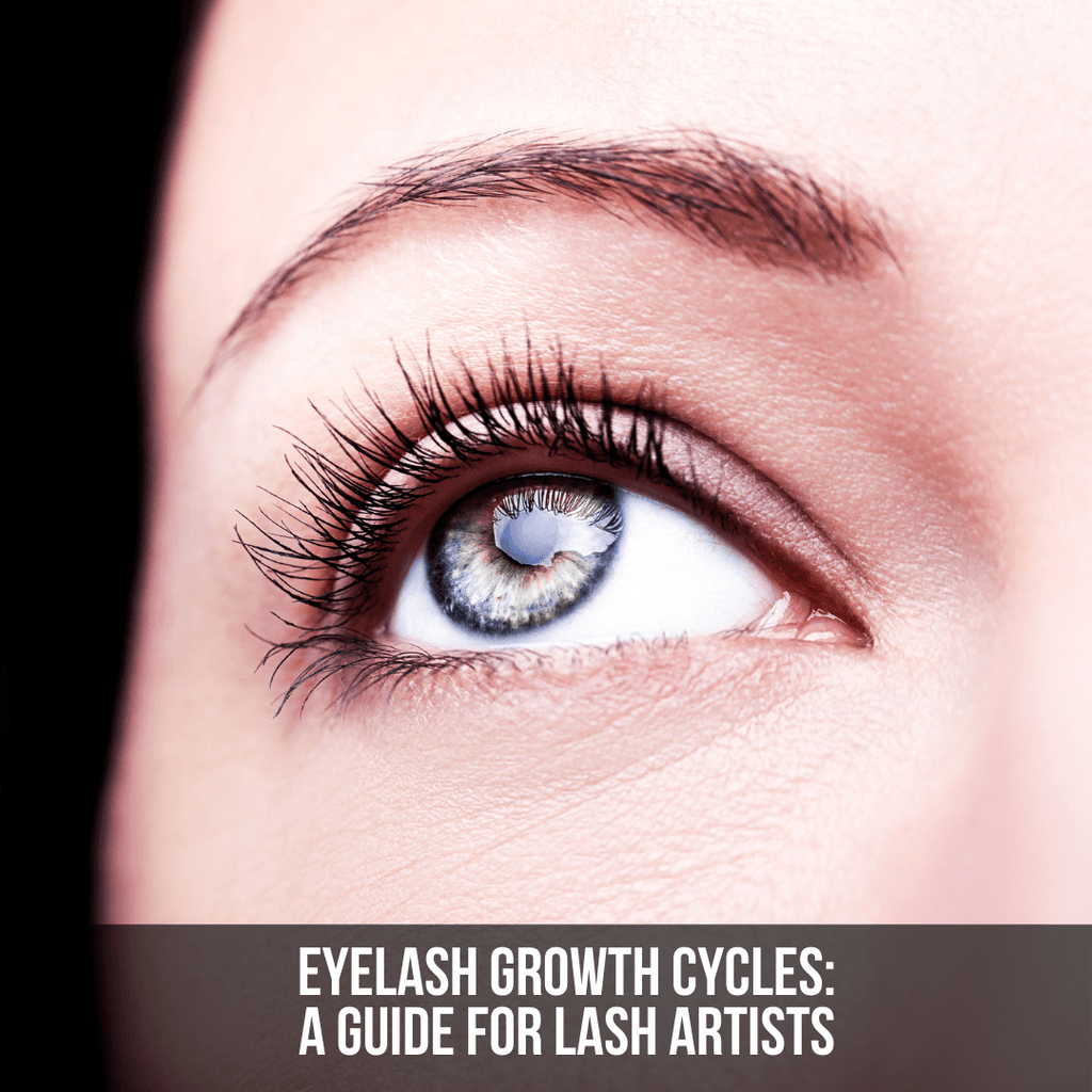 Eyelash Growth Cycles: A Guide for Lash Artists