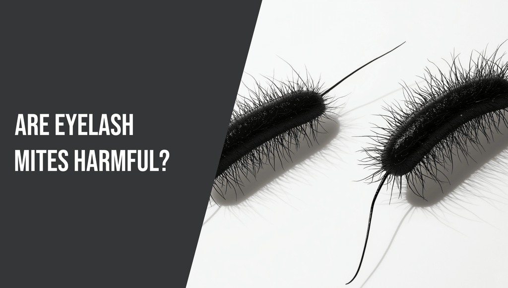 Are Eyelash Mites Harmful?