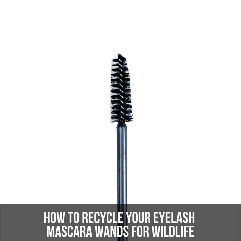 How to Recycle Your Eyelash Mascara Wands for Wildlife