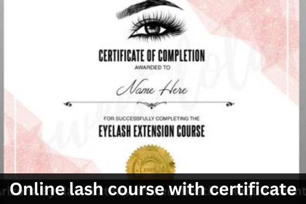 Do Lash Professionals Provide Online Lash Course with Certificate?