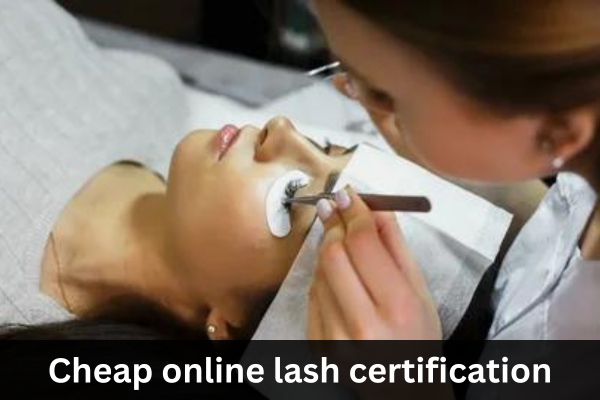 Is The Lash Professional Online Lash Certification Cheap?