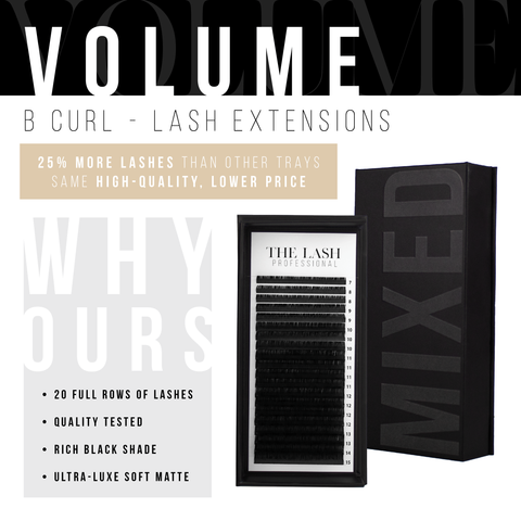 B Curl Volume Lashes